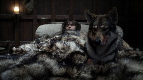 Bran and Summer